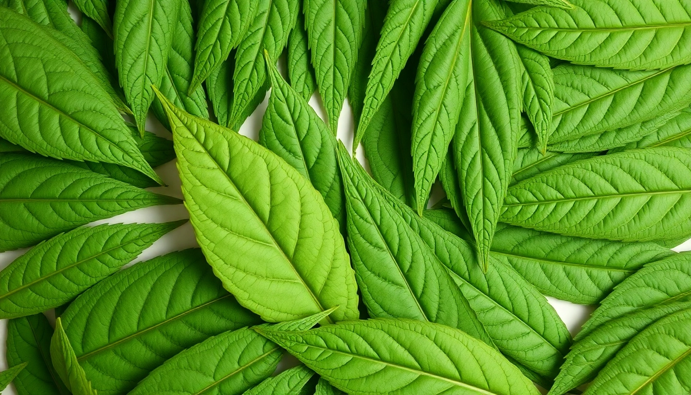 Understanding CBD Tobacco: Benefits, Uses, and Trends in the Market